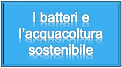 I batteri che metabolizzano il metano possono contribuire alla Sostenibilit&agrave; dell'Acquacoltura