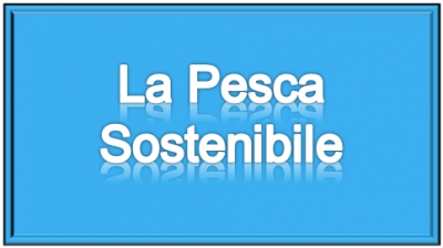 Metodologie di pesca sostenibile che potrebbero favorire il recupero degli stock ittici