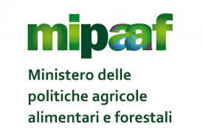 Via libera definitivo da bruxelles alla riduzione della taglia minima delle vongole pescabili in italia