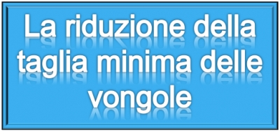 La riduzione della taglia minima delle vongole